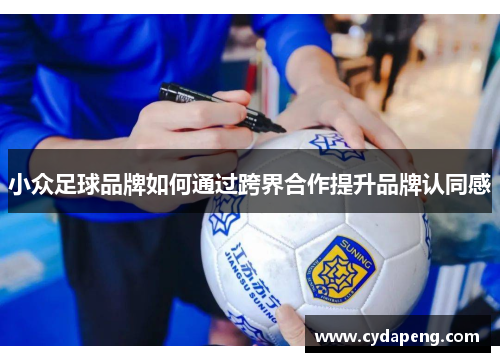 小众足球品牌如何通过跨界合作提升品牌认同感